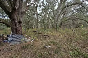 9046 SE 12th St, Webster, FL 33597 - Photo 5