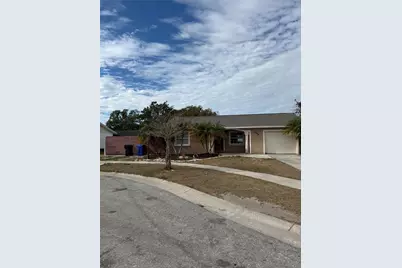 11204 Millridge Drive, Tampa, FL 33625 - Photo 1