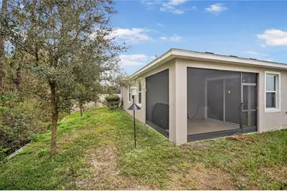 32959 Sand Creek Drive, Wesley Chapel, FL 33543 - Photo 23