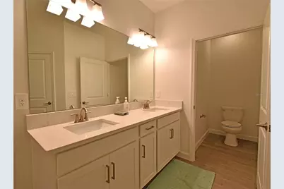 17304 Banded Gold Lane, Wimauma, FL 33598 - Photo 39