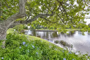 5412 Hammock View Ln, Apollo Beach, FL 33572 - Photo 61