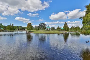 5412 Hammock View Ln, Apollo Beach, FL 33572 - Photo 59