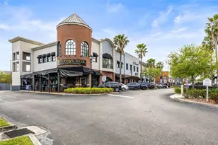 9739 Meadow Field Cir, Tampa, FL 33626 - Photo 39