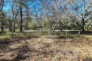 15609 Becky Ln, Hudson, FL 34667 - Photo 3
