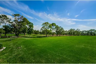 1563 Wicklow Drive, Palm Harbor, FL 34684 - Photo 67