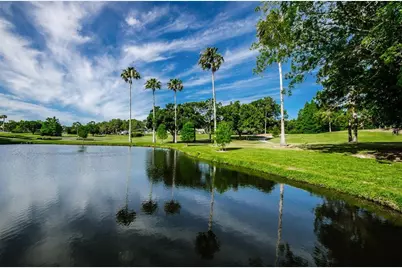 1563 Wicklow Drive, Palm Harbor, FL 34684 - Photo 69