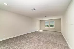 33870 Twilight Sea Place, Dade City, FL 33525 - Photo 41
