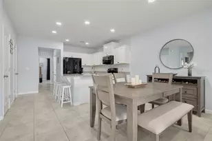 18158 Turning Leaf Cir, Land O Lakes, FL 34638 - Photo 9