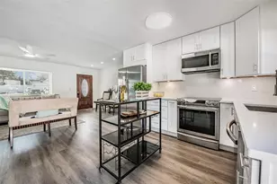 66 Lake Shore Dr, Palm Harbor, FL 34684 - Photo 13