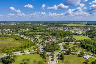 4950 Diamonds Palm, Wesley Chapel, FL 33543 - Photo 65