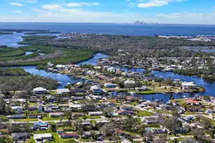 309 11th St SW, Ruskin, FL 33570 - Photo 43