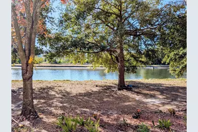 6628 Holly Heath Drive, Riverview, FL 33578 - Photo 11