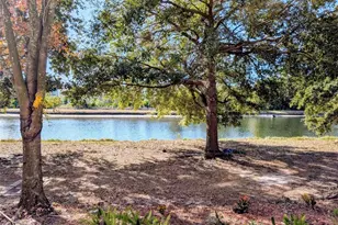 6628 Holly Heath Dr, Riverview, FL 33578 - Photo 11