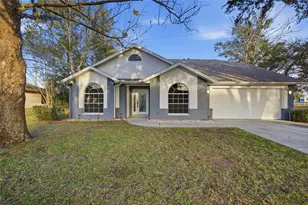 6302 Silver Oaks Dr, Zephyrhills, FL 33542 - Photo 1