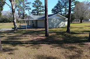 20820 Chisholm Trail, Land O Lakes, FL 34638 - Photo 11