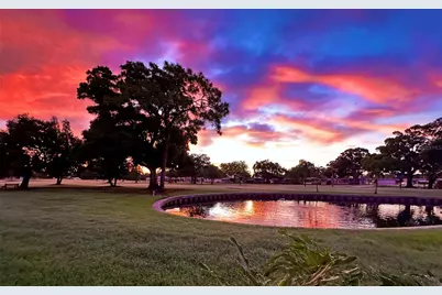 1100 Belcher Road S #152, Largo, FL 33771 - Photo 3