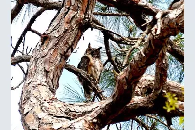 2700 Bayshore Boulevard #2310, Dunedin, FL 34698 - Photo 73