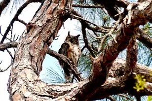 2700 Bayshore Blvd, Dunedin, FL 34698 - Photo 73