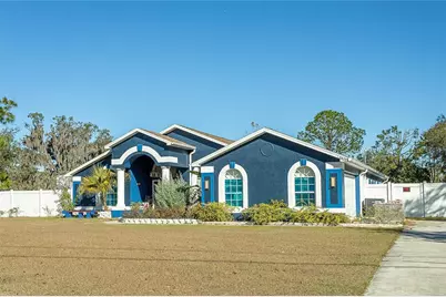 31439 Stirrup Lane, Wesley Chapel, FL 33543 - Photo 1