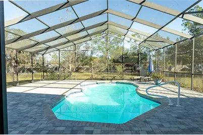 31439 Stirrup Lane, Wesley Chapel, FL 33543 - Photo 33