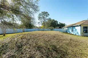 31439 Stirrup Ln, Wesley Chapel, FL 33543 - Photo 37
