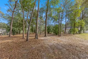 14071 Linden Dr, Spring Hill, FL 34609 - Photo 63