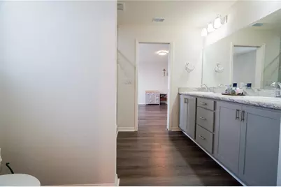 12288 Cypress Branch Street, Riverview, FL 33579 - Photo 29