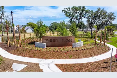 3412 Lumber Falls Drive, Plant City, FL 33565 - Photo 17