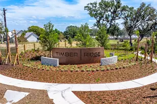 3412 Lumber Fls Dr, Plant City, FL 33565 - Photo 17