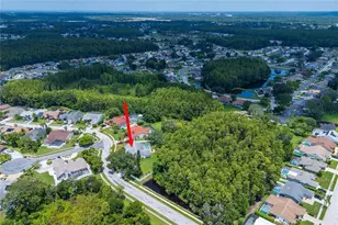 9915 Hermosillo Dr, New Port Richey, FL 34655 - Photo 39