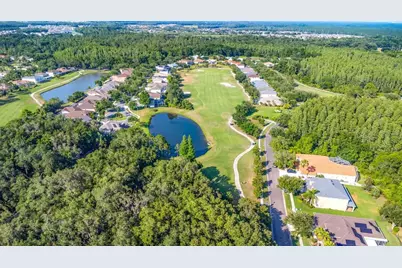 19145 Cypress Green Drive, Lutz, FL 33558 - Photo 79