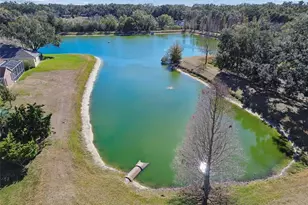 3004 Minuteman Ln, Brandon, FL 33511 - Photo 67