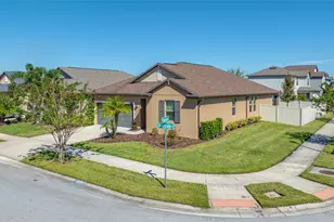 9205 Shadyside Ln, Land O Lakes, FL 34637 - Photo 1