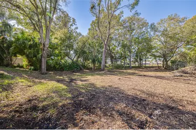 271 Sweetgum Court, Palm Harbor, FL 34683 - Photo 25