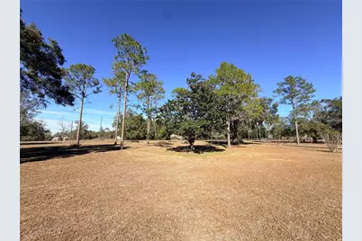 35324 Blanton Road, Dade City, FL 33523 - Photo 13