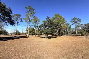 35324 Blanton Rd, Dade City, FL 33523 - Photo 13