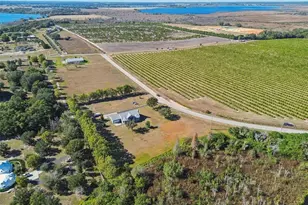 2307 Cass Rd, Lake Alfred, FL 33850 - Photo 67