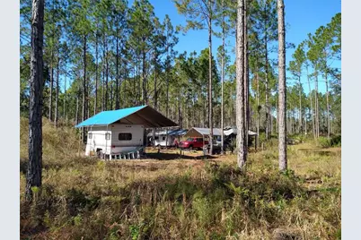 Clyatt Road, Chiefland, FL 32626 - Photo 9