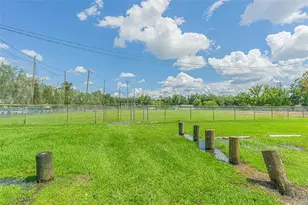 701 W Henry Ave, Tampa, FL 33604 - Photo 27