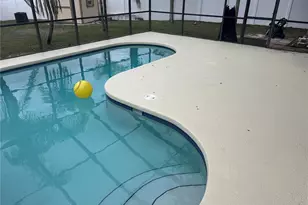 2908 Shannon Cir, Palm Harbor, FL 34684 - Photo 21