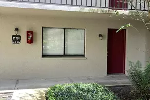 11703 Raintree Village Blvd, Temple Terrace, FL 33617 - Photo 5