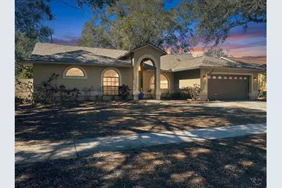 910 Balsamina Drive, Brandon, FL 33510 - Photo 1