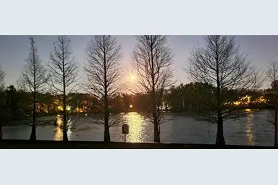 2207 Green Oaks Lane, Tampa, FL 33612 - Photo 33