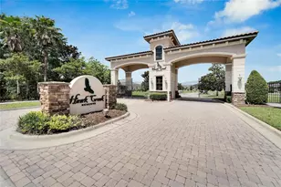 304 Hawk Talon Drive, Lithia, FL 33547 - Photo 87