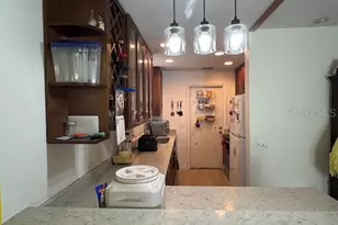 104 Chesapeake Ave, Tampa, FL 33606 - Photo 11