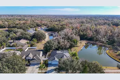 9606 Greenbank Drive, Riverview, FL 33569 - Photo 5