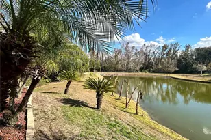 9606 Greenbank Dr, Riverview, FL 33569 - Photo 71