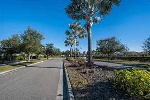 5314 Stoic Vale Dr, Wimauma, FL 33598 - Photo 63