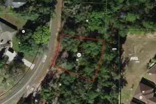 151 Pine St, Homosassa, FL 34446 - Photo 1