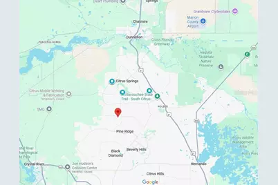 6299 N Allston Terrace, Citrus Springs, FL 34433 - Photo 35